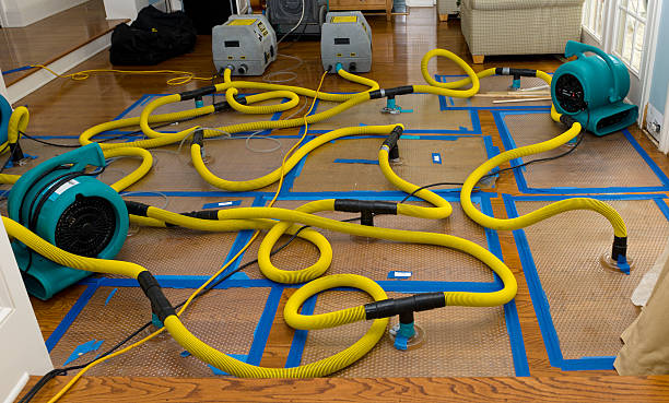 Professional Basement Flood Cleanup technician working in Highland, UT